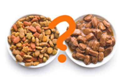 Nassfutter vs. Trockenfutter für Hunde: Was ist die bessere Wahl?