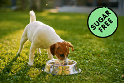 Top 10 Hundefutter ohne Zucker – (Erfahrung & Test 2023)