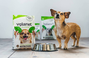 bestes-hundefutter-vegan-test